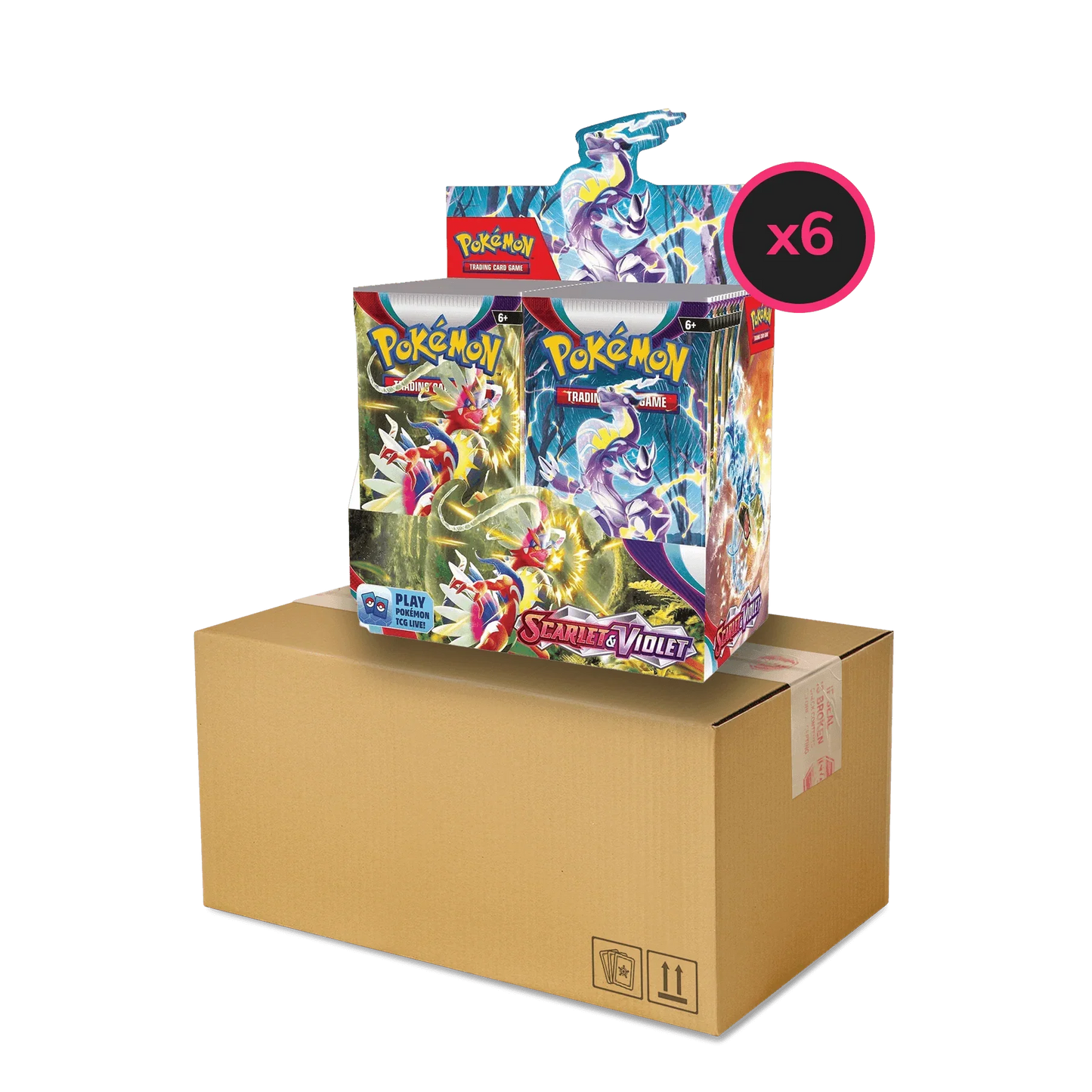 Pokemon TCG - Scarlet & Violet - Base Set - Display Case (6x Booster Boxes)